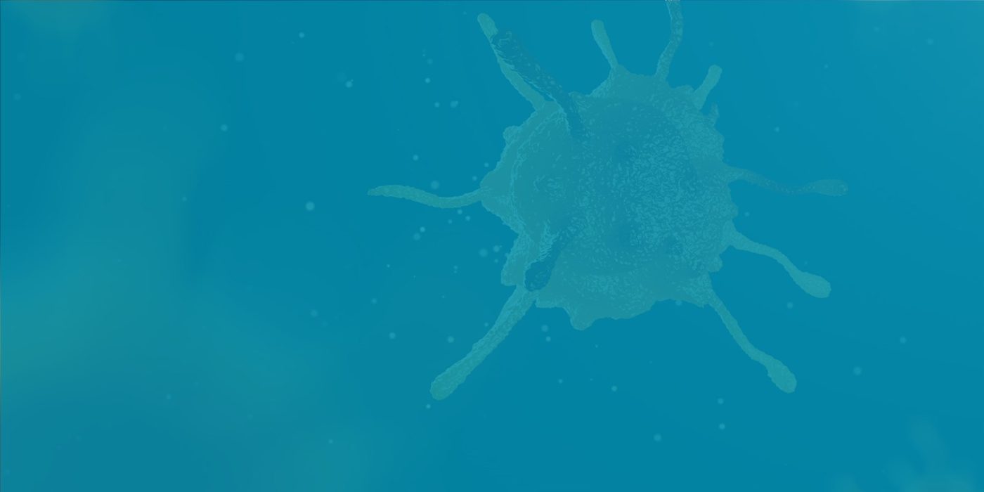 News – Pathalys Pharma